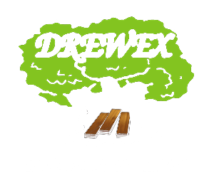Logo Drewex